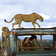 Illustration for article titled Here Are National Geographic Traveler's Best Photos of 2013